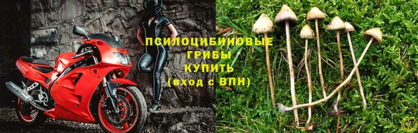 шишки Михайлов