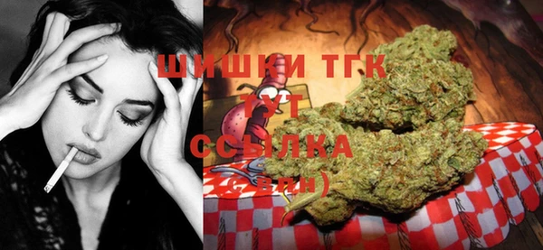 шишки Михайлов