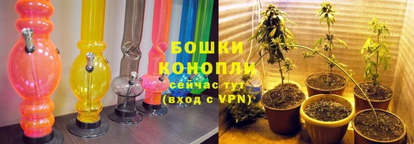 шишки Михайлов