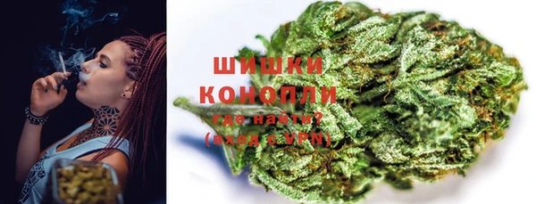 шишки Михайлов
