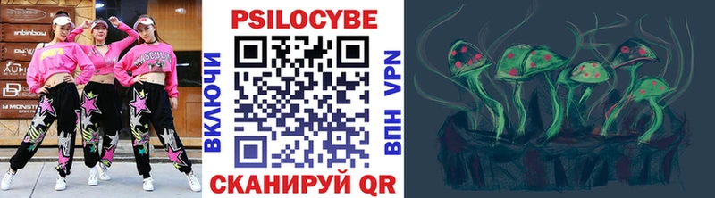 Псилоцибиновые грибы Psilocybine cubensis  Дзержинск 