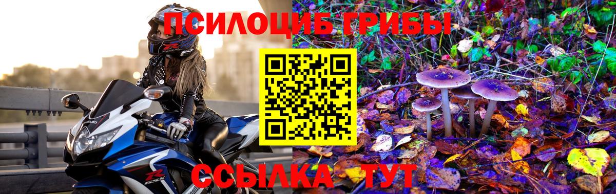 Галлюциногенные грибы Cubensis Дзержинск