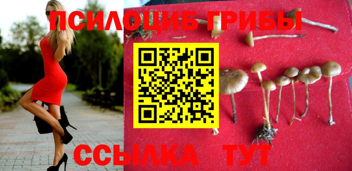 Псилоцибиновые грибы прущие грибы  Дзержинск 