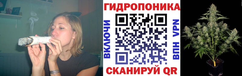 дарк нет состав  продажа наркотиков  Дзержинск  Бошки Шишки THC 21% 